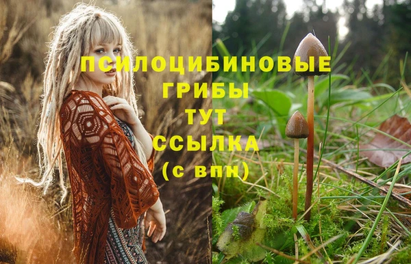 марки lsd Инсар