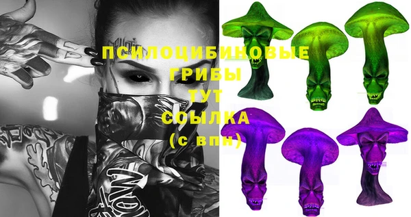 a pvp Иннополис