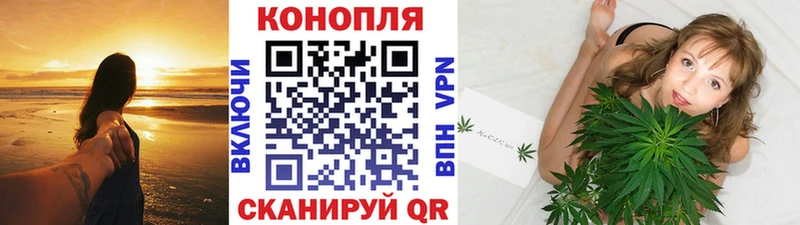 Купить закладки  Светлый  Шишки марихуана индика 